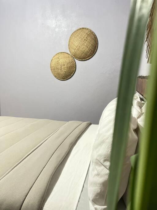 Loft Do Porto Apartment เซามิเกลโดสมีลาเกรส ภายนอก รูปภาพ